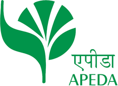 APEDA registered agricultural exporter